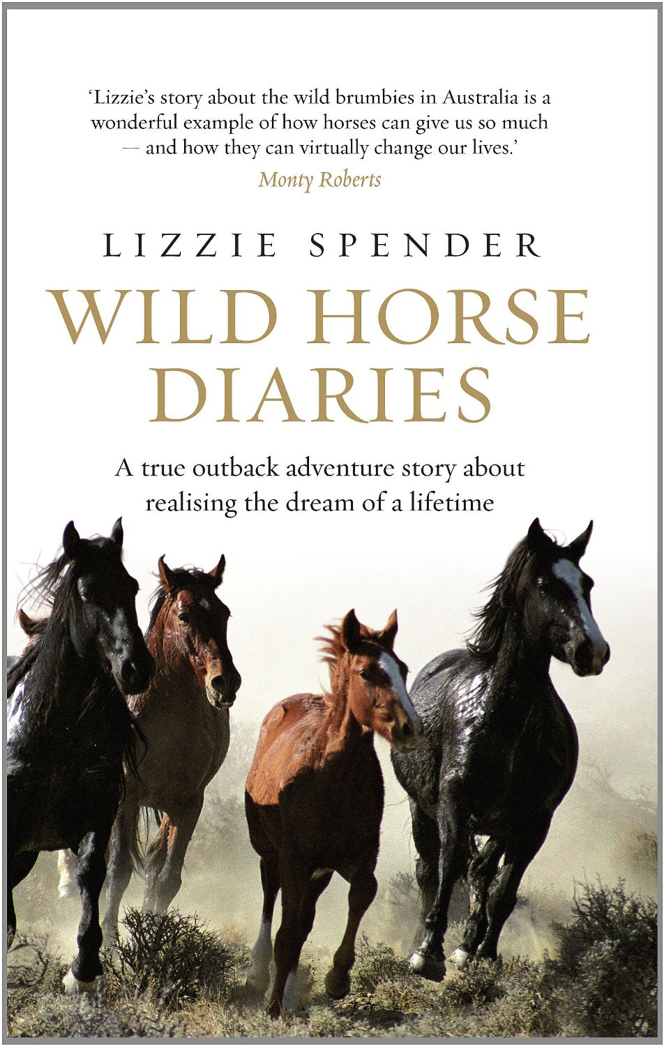 Дикие лошади книга. Horse Diaries. Horse Diaries: Lily. Horse Diaries: Cinders.